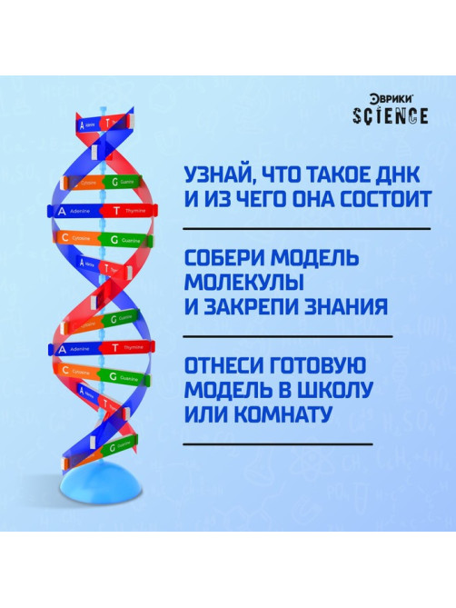 Набор для опытов «Молекула ДНК»