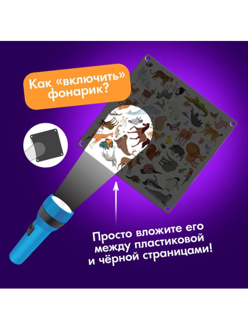 Настольная игра «Шпионы в зоопарке», 50 карточек, 4 фонарика, 5+