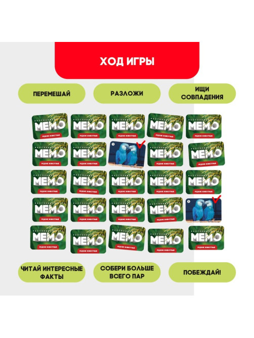 Мемо «Редкие животные», 50 карт, 5+