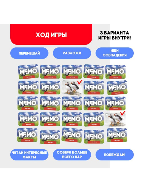 Мемо «Мир птиц», 50 карт, 5+