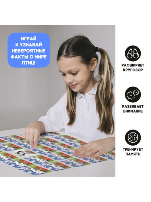 Мемо «Мир птиц», 50 карт, 5+