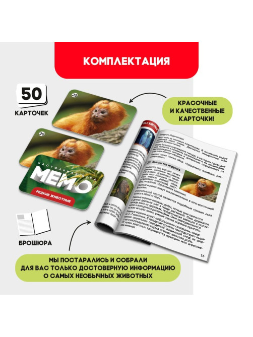 Мемо «Редкие животные», 50 карт, 5+