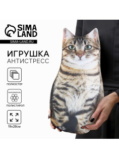 Игрушка-антистресс «Котик»