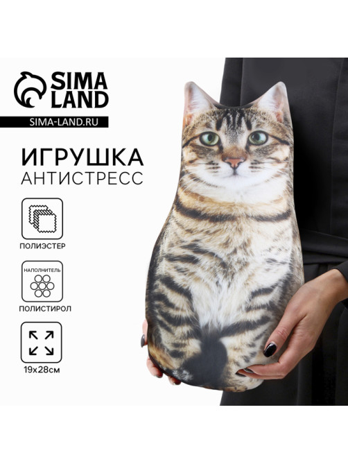 Игрушка-антистресс «Котик»