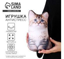 Антистресс игрушка «Котик Сибиряк»