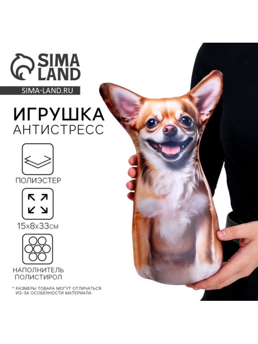 Антистресс игрушка, собака «Чихуа»