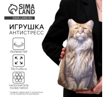Антистресс игрушка, кот «Мейн-кун»