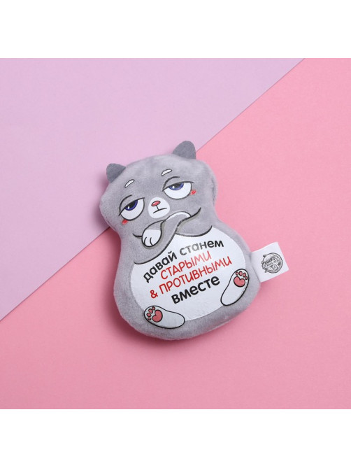 Магнит Milo toys «Давай станем старыми и противными вместе», кот