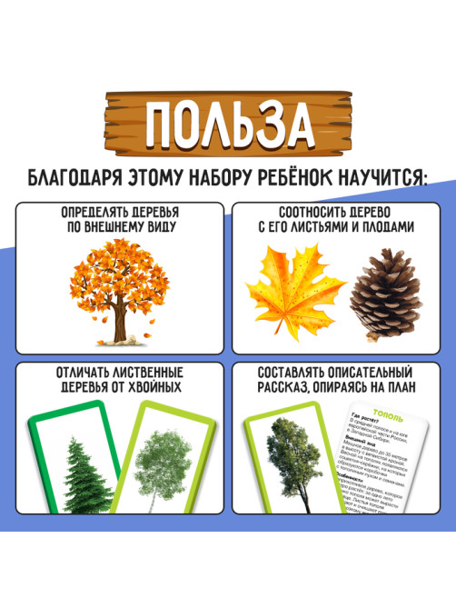 Развивающий набор «Хвойные и лиственные деревья»