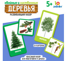 Развивающий набор «Хвойные и лиственные деревья»