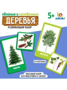 Развивающий набор «Хвойные и лиственные деревья»