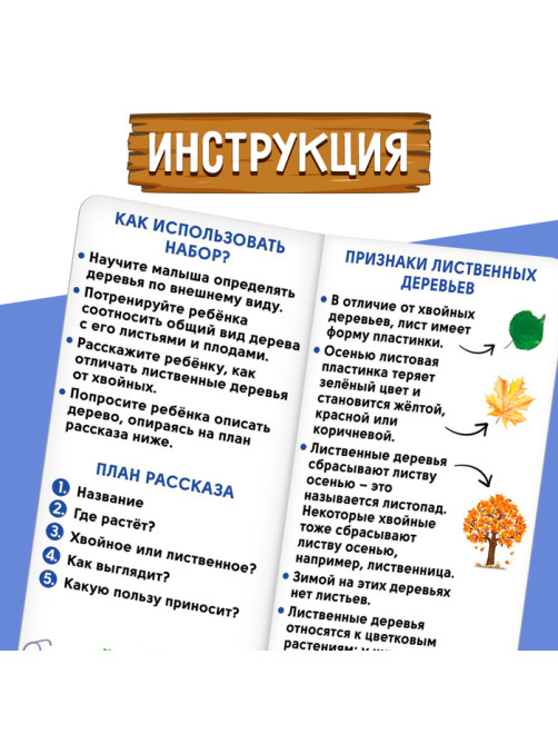Развивающий набор «Хвойные и лиственные деревья»