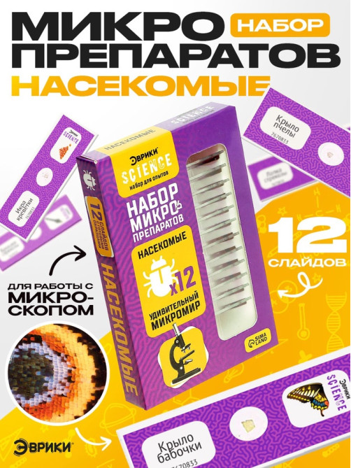 Набор для опытов «Набор микропрепаратов», насекомые