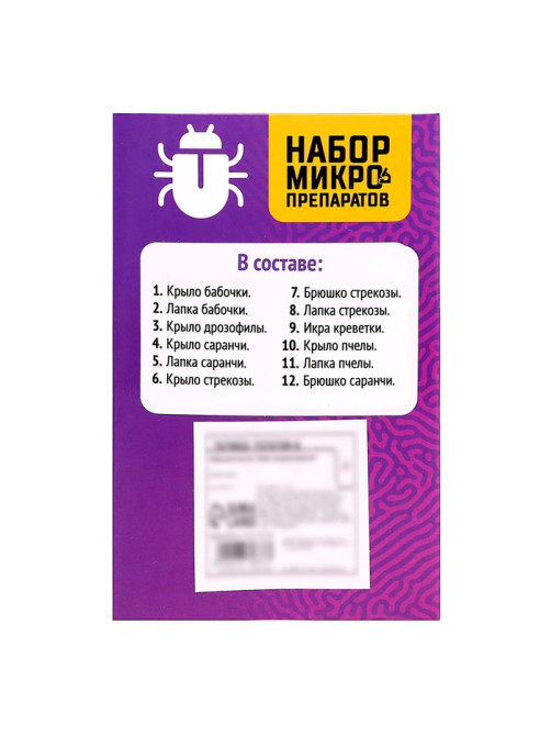 Набор для опытов «Набор микропрепаратов», насекомые