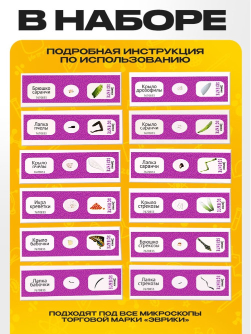 Набор для опытов «Набор микропрепаратов», насекомые