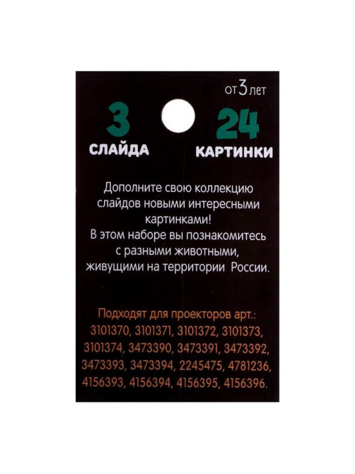 Слайды для проектора ZABIAKA «Животные России», набор, 3 слайда, 24 картинки