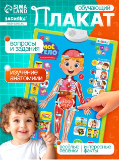 Обучающий плакат «Изучаем анатомию: Моё тело»