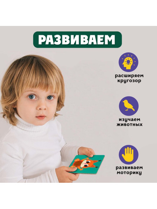 Развивающий набор «Животные леса», 10 тактильных карточек, 3+