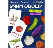 Обучающий набор по методике Г. Домана «Овощи»: 9 карточек + 9 овощей, счётный материал