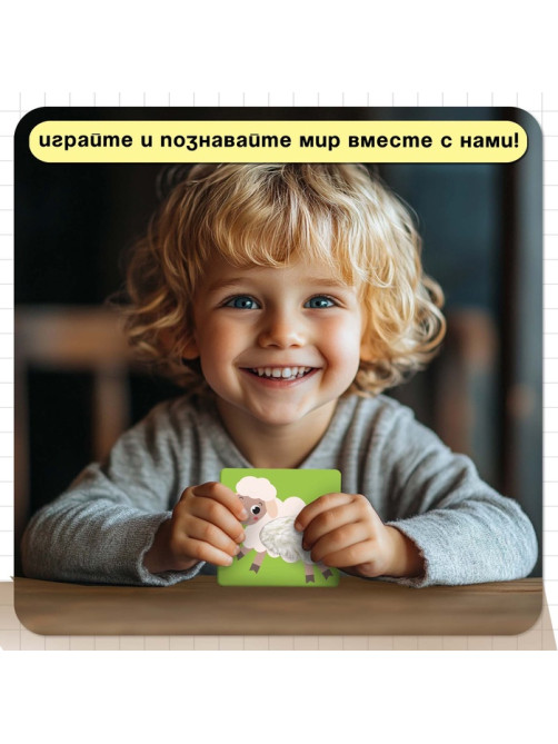 Развивающий набор «Тактильные карточки», 15 карточек, 3+