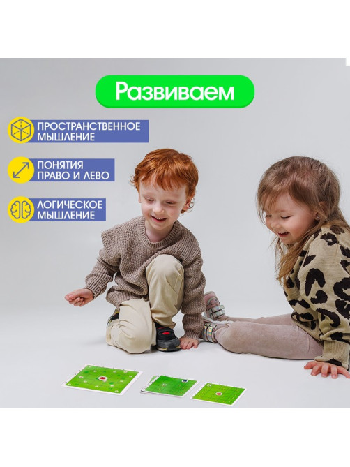 Нейропсихологическая игра «Где муха?», 10 карточек, 3+