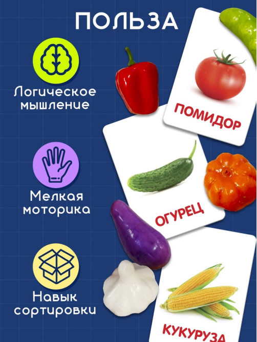 Обучающий набор по методике Г. Домана «Овощи»: 9 карточек + 9 овощей, счётный материал