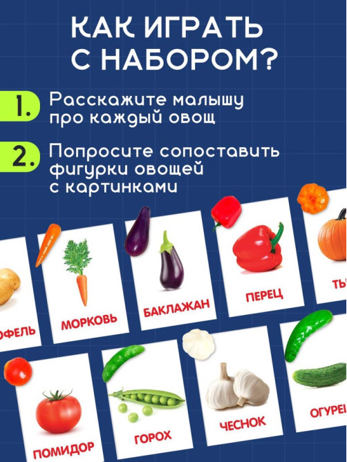Обучающий набор по методике Г. Домана «Овощи»: 9 карточек + 9 овощей, счётный материал