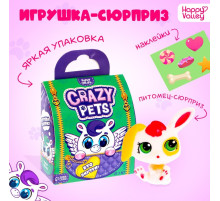 Игрушка-сюрприз Happy Valley «Crazy Pets», с наклейками