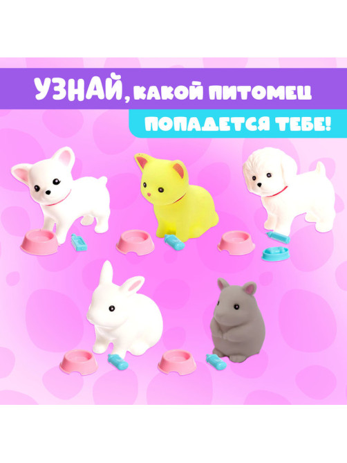 Игрушка-сюрприз Happy Valley «Любимый питомец» с аксессуарами, МИКС