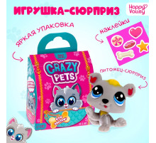 Игрушка-сюрприз Happy Valley «Crazy Pets», с наклейками