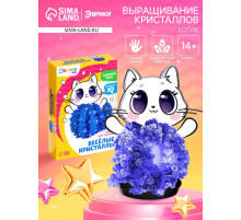 Выращивание кристалла «Чудесные. Котик», набор для опытов