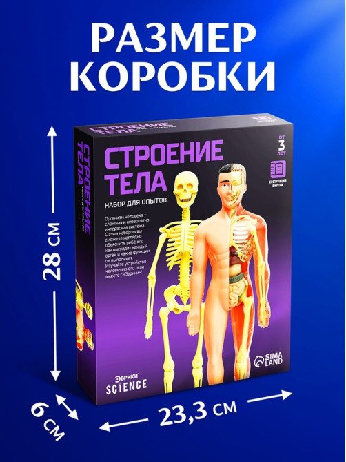 Набор для опытов «Строение тела», анатомия человека