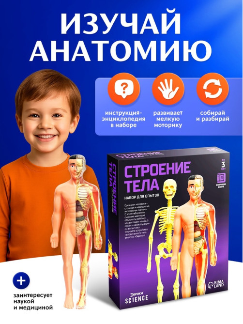 Набор для опытов «Строение тела», анатомия человека
