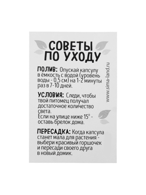Набор для опыта «Живой брелок», мини-сад, выращивание травы