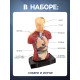 Научный опыт «Строение тела»