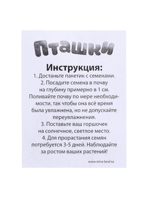 Набор для опытов, для детей «Пташки, выращиваем травку», растение в фиолетовом горшочке