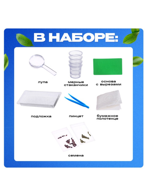 Набор для опытов «Экоферма», своими руками