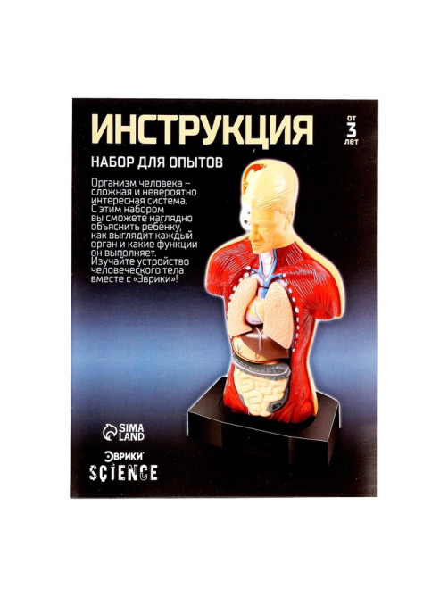 Научный опыт «Строение тела»