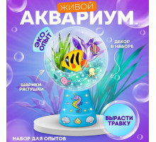 Набор для опытов «Живой аквариум: Морские обитатели», вырасти травку