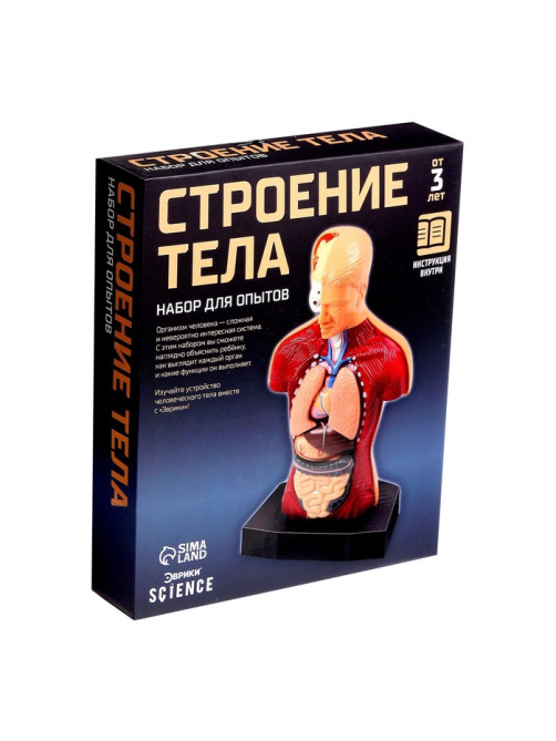 Научный опыт «Строение тела»