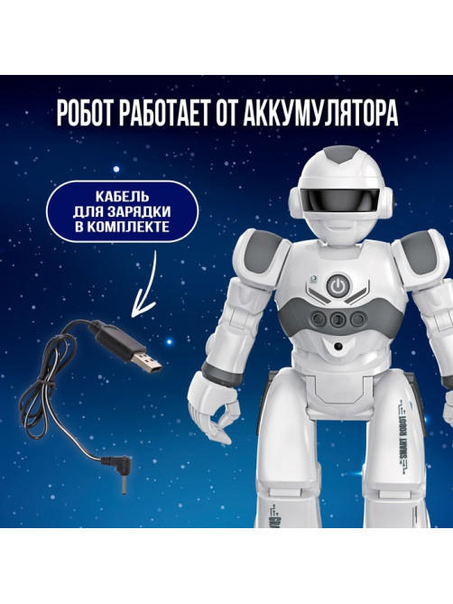 Робот на пульте управления IQ BOT GRAVITONE, радиоуправление, интерактивный, русское озвучивание, цвет серый