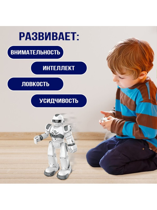 Робот на пульте управления IQ BOT GRAVITONE, радиоуправление, интерактивный, русское озвучивание, цвет серый