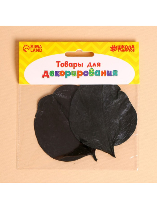Сухие листья, набор 2 шт., 6.5×7 см, чёрные