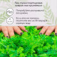 Декоративная панель, 60×40 см, «Самшит, Папоротник», Greengo