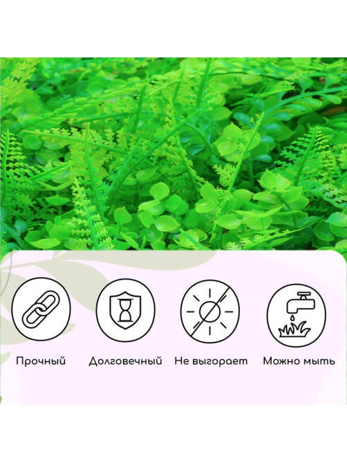 Декоративная панель, 60×40 см, «Самшит, Папоротник», Greengo