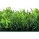 Декоративная панель, 40×60 см, «Разнотравье», Greengo