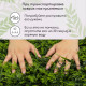 Декоративная панель, 40×60 см, «Разнотравье», Greengo