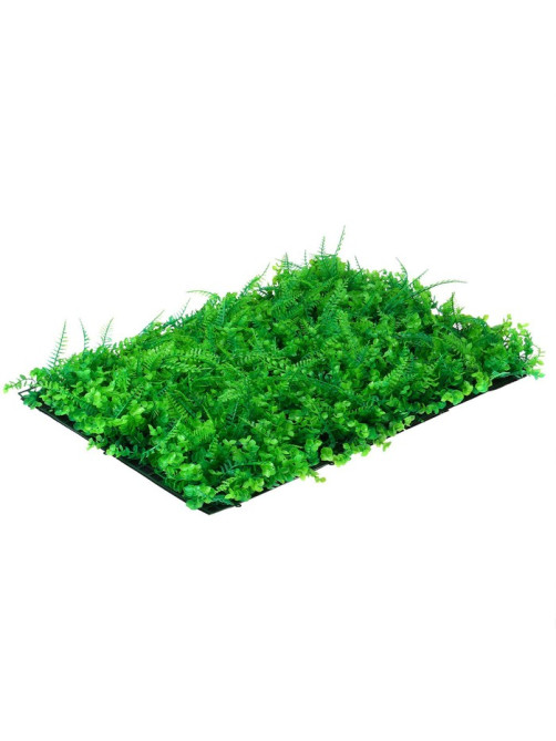 Декоративная панель, 60×40 см, «Самшит, Папоротник», Greengo