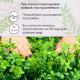 Декоративная панель, 60×40 см, «8-ми листник», Greengo