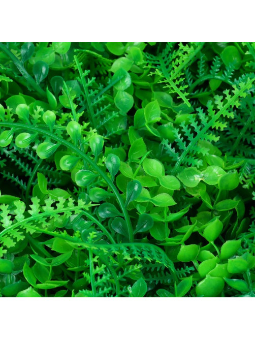 Декоративная панель, 60×40 см, «Самшит, Папоротник», Greengo
